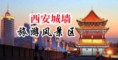 操欧美大骚逼中国陕西-西安城墙旅游风景区